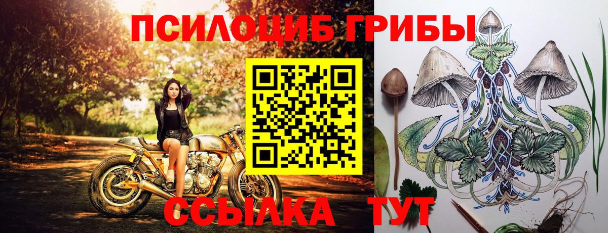 Галлюциногенные грибы Magic Shrooms Кандалакша