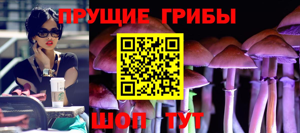 Псилоцибиновые грибы мухоморы  наркота  Кандалакша  Галлюциногенные грибы Psilocybe  Вход с VPN 