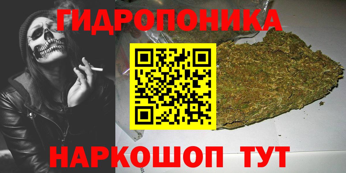 Шишки марихуана сатива Кандалакша